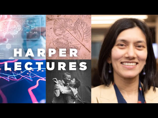 Investigating Dark Patterns and Consumer Protection in Online Shopping