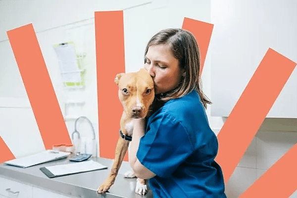 A Day in the Life of a Veterinarian