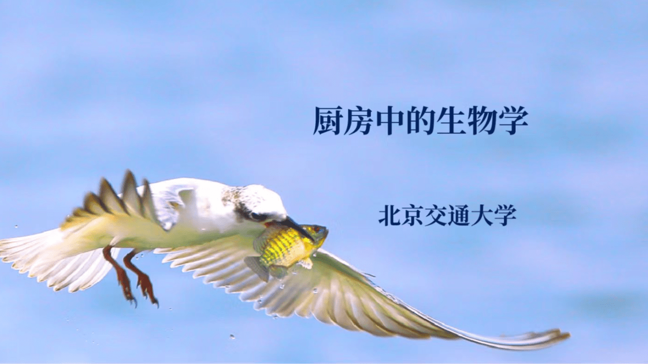 厨房中的生物学