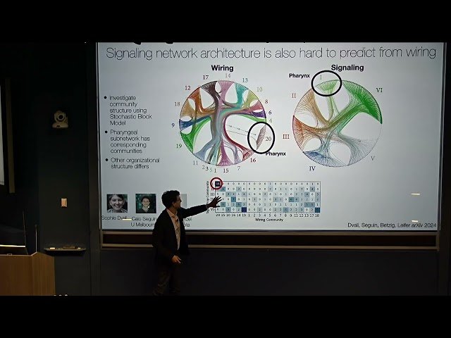 Global Brain Dynamics in C. elegans - A Decade of Progress