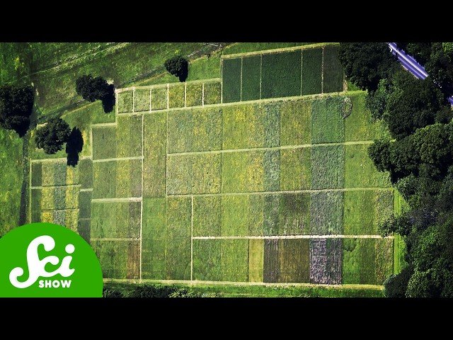 One of the World's Oldest Experiments is This Patch of Grass