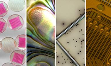 Making Science and Engineering Pictures: A Practical Guide to Presenting Your Work