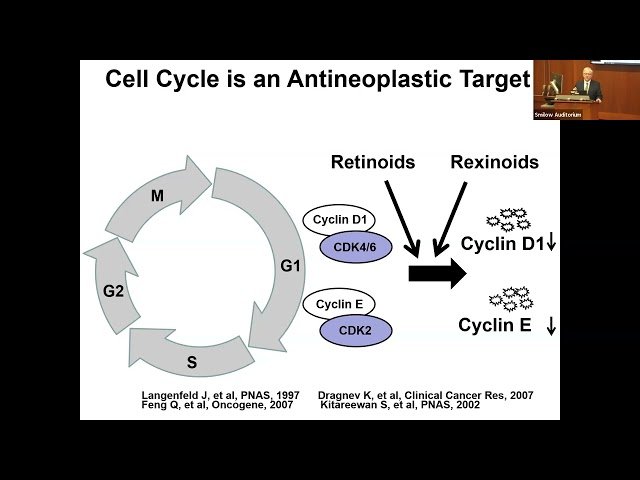 New Cell Cycle Inhibitors Eradicate Aneuploid Cancers