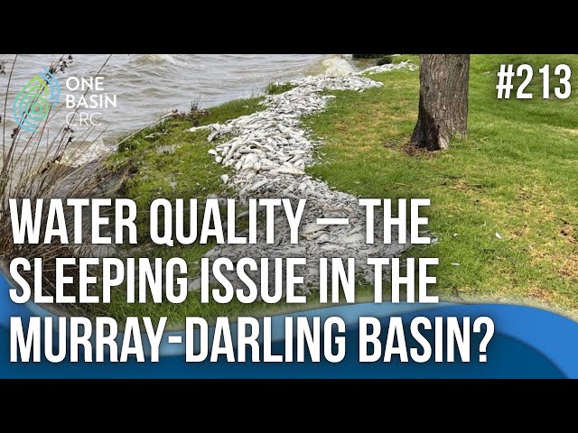 Water Quality - The Sleeping Issue in the Murray-Darling Basin?