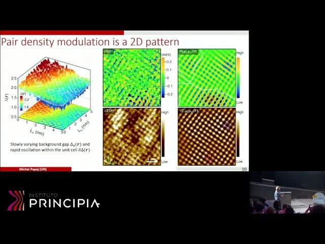 Pair Density Modulation in Iron-Based Superconductors
