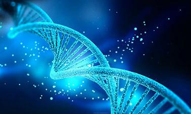 AP® Biology - Part 2: Genetics