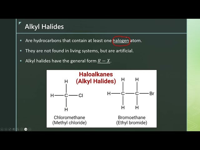 Hydrocarbon Derivatives: Alcohols and Alkyl Halides