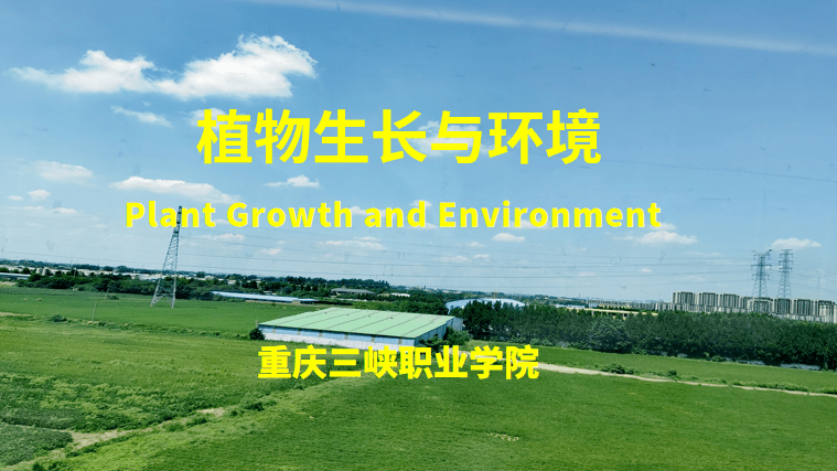 Plant Growth and Environment