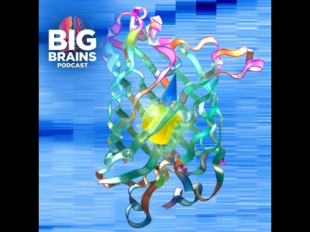 The Breakthrough Quantum Sensor That Sees Inside Your Cells