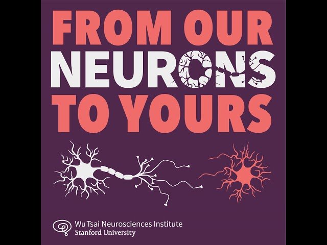 Why Voices Light Us Up - But Leave the Autistic Brain in the Dark