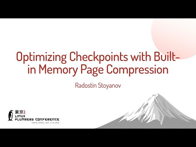 Optimizing Checkpoints with Built-in Memory Page Compression