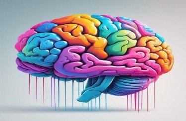 Science of Learning and Memory