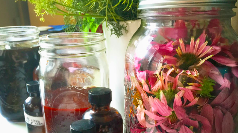 Homemade Herbal Remedies (Live Online)