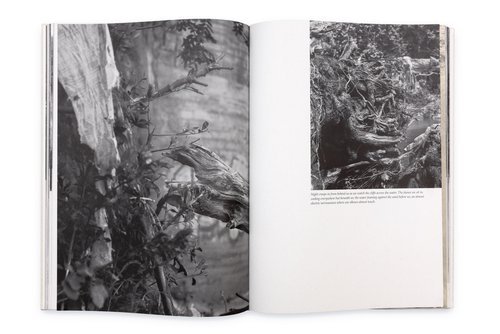 Developing Writing for Photo Projects (Live Online)