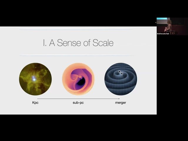 Searching for Supermassive Black Hole Binaries - Gas, Gravity, and Gravitational Waves