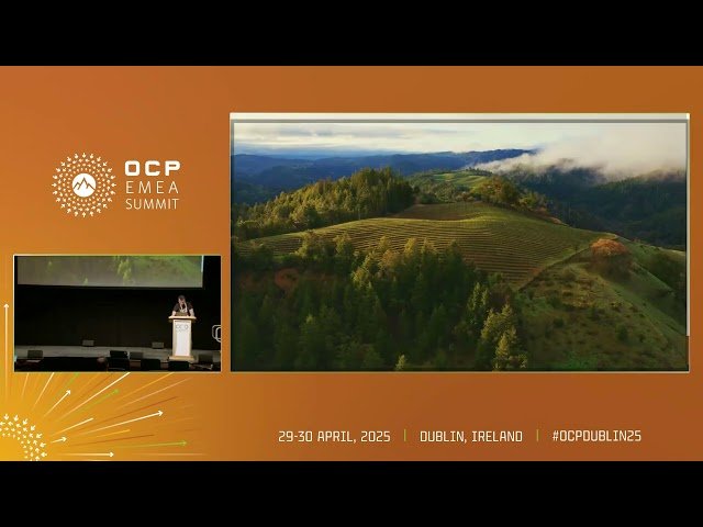 Photonic Networks for AI: Challenges and Opportunities