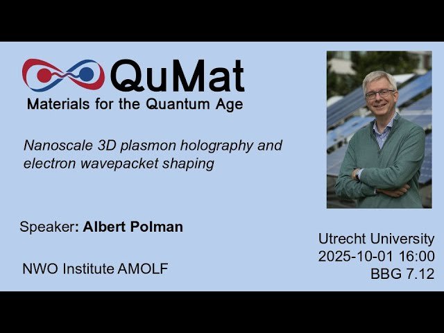 Nanoscale 3D Plasmon Holography and Electron Wavepacket Shaping