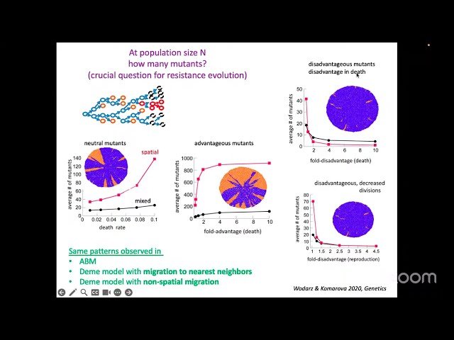 Evolution in Spatially Structured Tumors