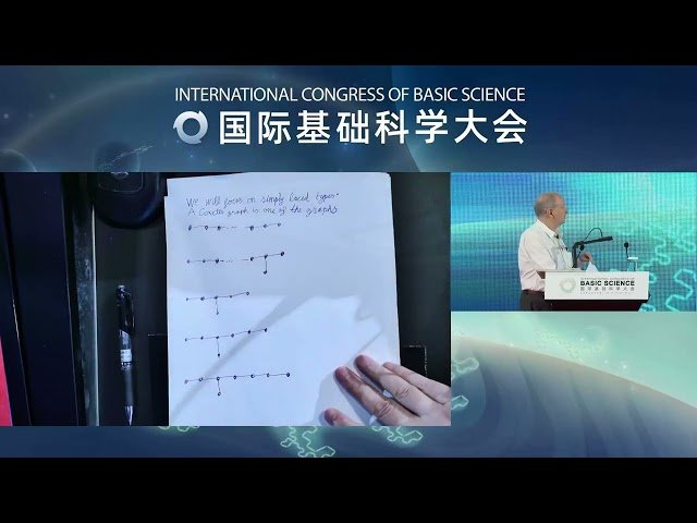 Canonical Bases in Lie Theory and Total Positivity