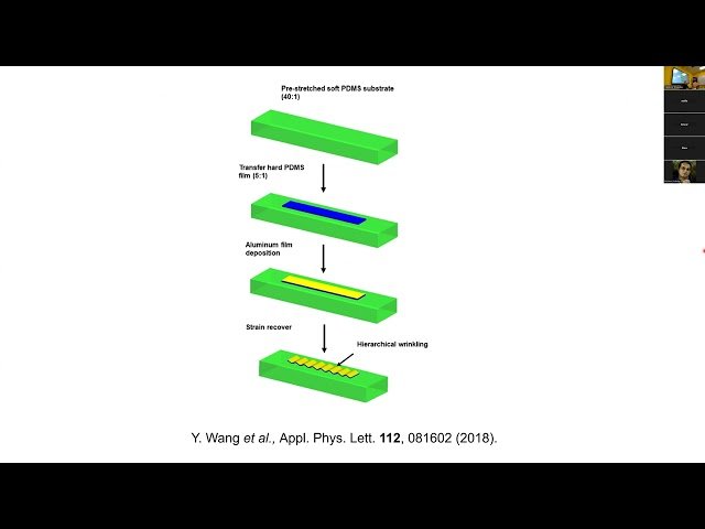 Смягчение изгибной поверхностной волны и самолокализация модулированной структуры сжатого в матрице графена