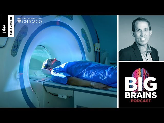 How Full-Body MRIs Will Predict Your Long-Term Health