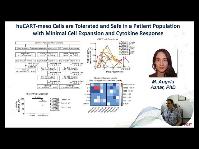 Mapping CAR T Cell Therapy - Strategies to Maximize Expansion, Persistence, Trafficking and Efficacy