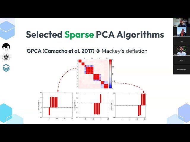 All Sparse Models Are Wrong, but Some Are Useful - Sparse Principal Component Analysis