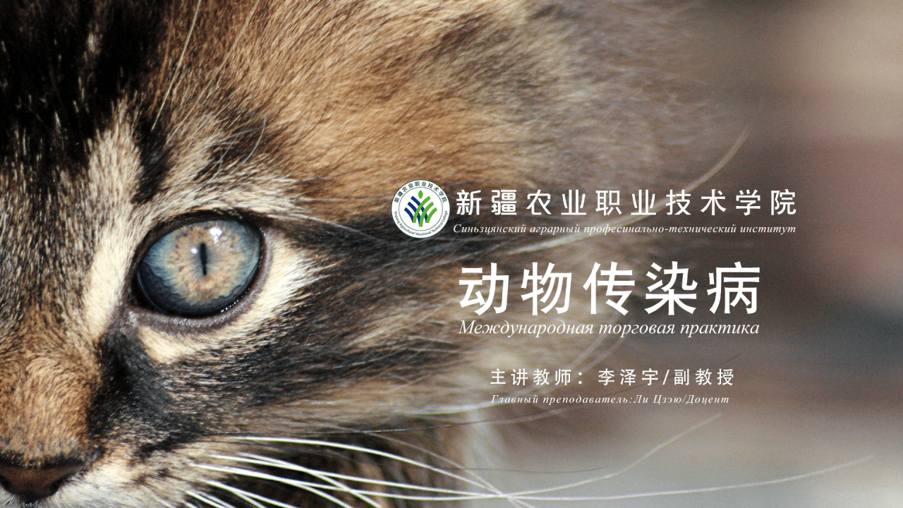 Инфекционная болезнь домашнего скота и птицы