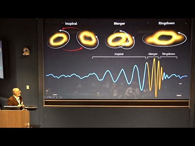 Black Hole Demography and Black Hole Spectroscopy with Gravitational Waves
