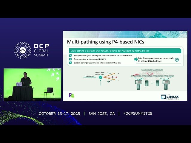 Using P4 NICs for Resilient Scale-Out GPU Interconnect