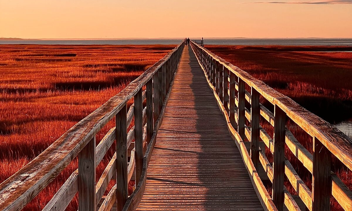 iPhone Photography Masterclass: The Subjects with Jack Hollingsworth