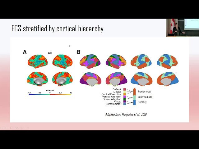 Distance- and Hierarchy-Dependent Functional Dysconnectivity in Schizophrenia
