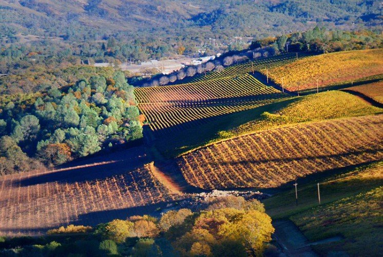 Wines of Lake County & The Sierra (Live Online)