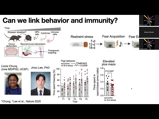 BrainMap - Psychedelic Rewiring of Neuroimmune Circuits in Psychiatric Disorders