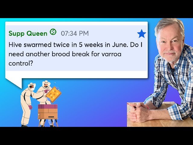 Beekeeping - Answering Your July Beekeeping Questions