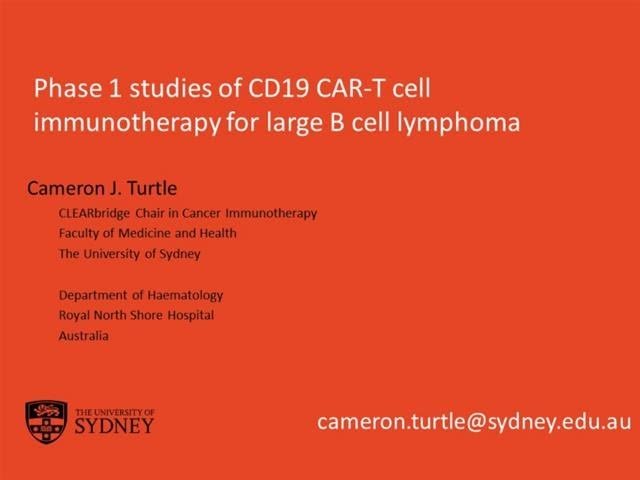 Phase 1 Studies of CD19 CAR T Cell Immunotherapy for Large B Cell Lymphoma