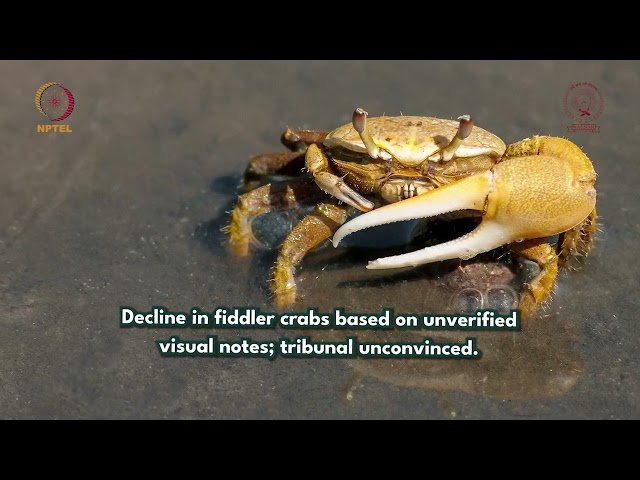 Allard vs. Barbados - Case Facts, Issues, BIT Violations and Tribunal Decision - Segment 2