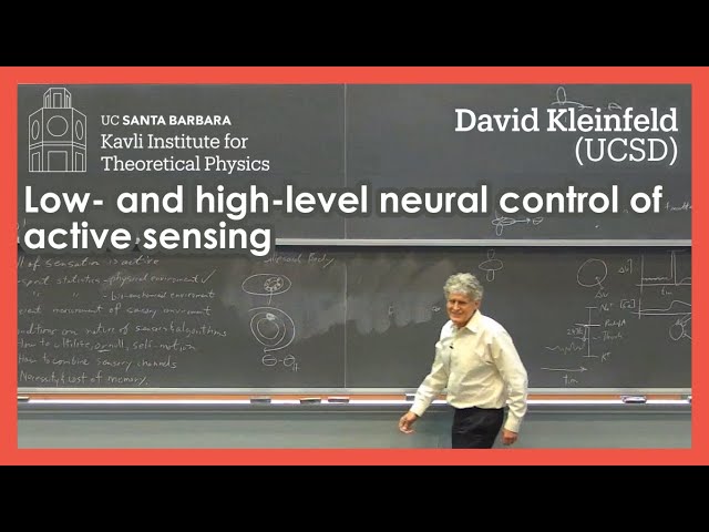 Low- and High-Level Neural Control of Active Sensing