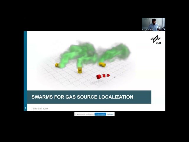 Big Visual Data Analytics for Natural Disaster Management