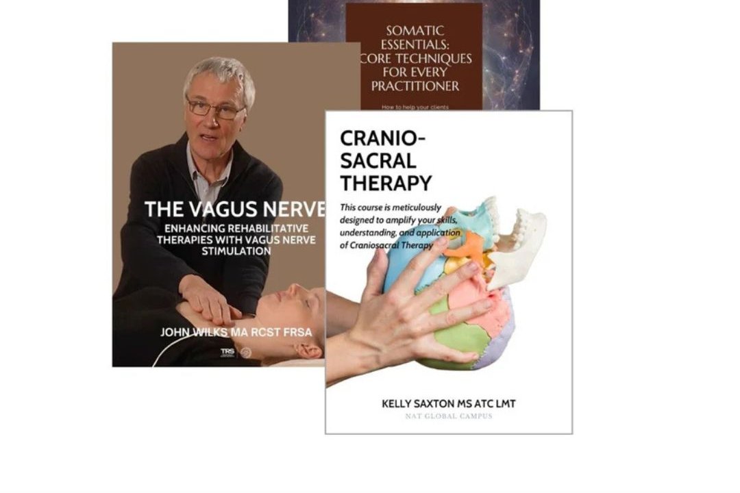 The Integrated Healing Bundle: CranioSacral, Vagus Nerve, & Somatic Therapy