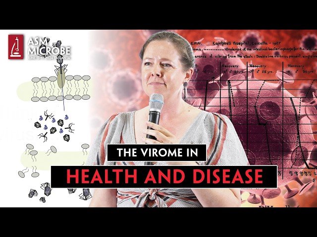 The Virome in Health and Disease: Understanding Viral Communities in Microbiome Function