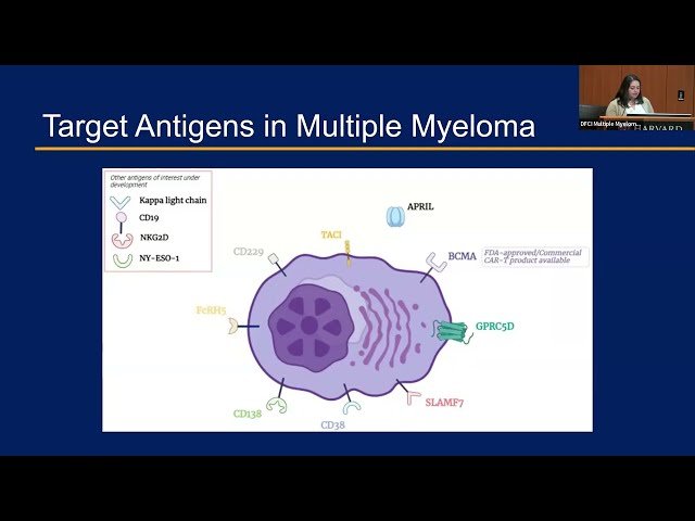 CAR T and Bispecific Antibody Therapies in Multiple Myeloma