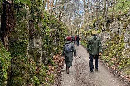 Education in Complex Times: Critical Approaches and New Paradigms