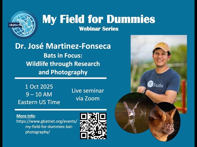 Bats in Focus - Wildlife Through Research and Photography