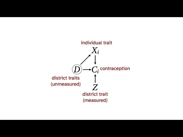 Statistical Rethinking 2026 - Group-Level Confounding and Intro to Social Networks - Lecture B04