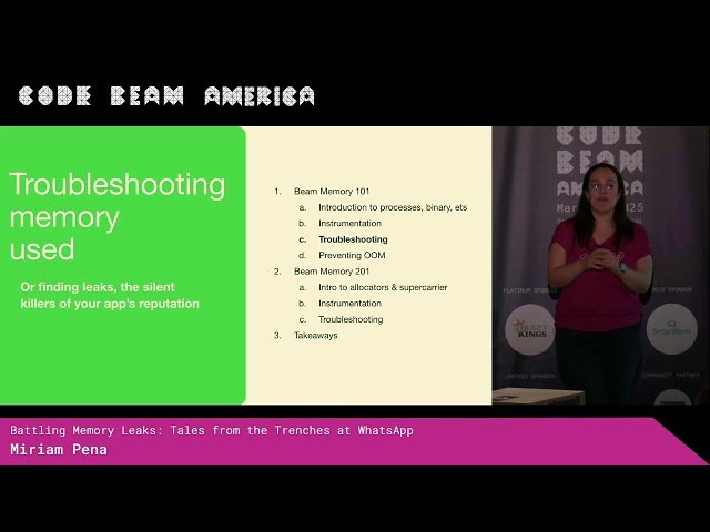 Battling Memory Leaks