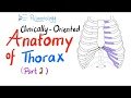 Clinically-Oriented Anatomy of the Thorax - Part 2