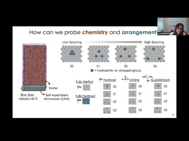 Frontiers in Chemical Physics - Charge Impact on Surface Hydrophobicity and Plasmons Theory - September 2025