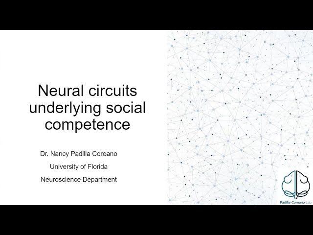 Neural Circuits for Social Competence