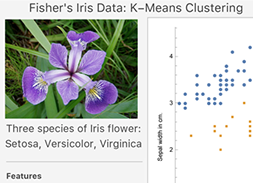 Automated Structure Discovery: Unsupervised Learning: Wolfram U Class